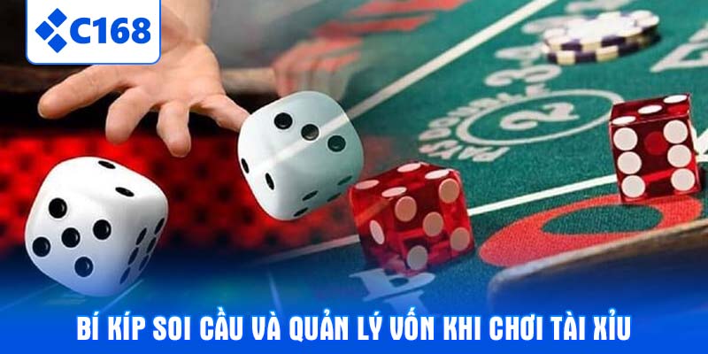 Bí kíp soi cầu và quản lý vốn khi chơi tài xỉu