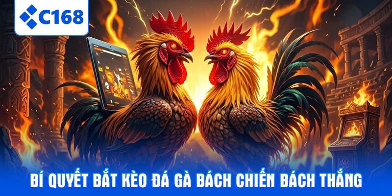 Bí quyết bắt kèo đá gà bách chiến bách thắng