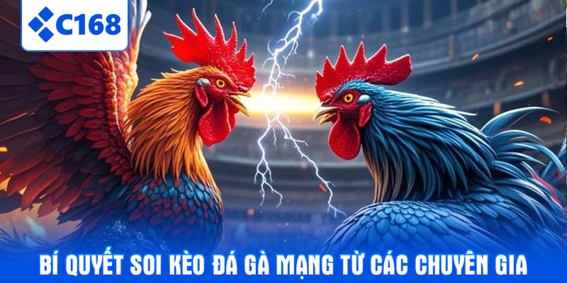 Bí quyết soi kèo đá gà mạng từ các chuyên gia