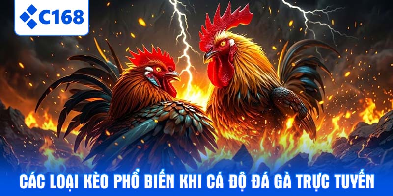 Các loại kèo phổ biến khi cá độ đá gà trực tuyến