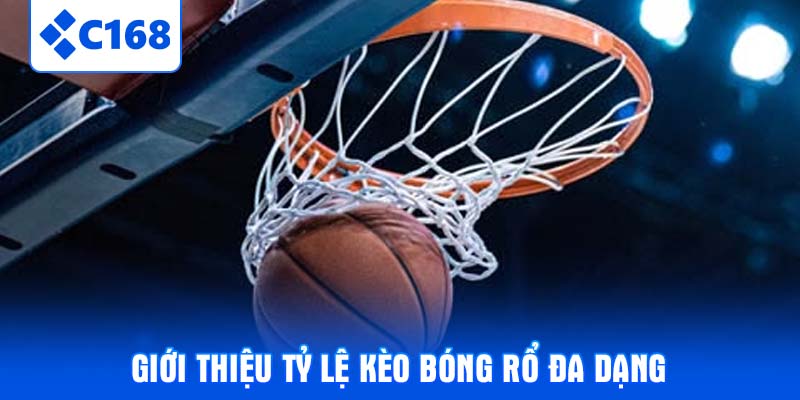 Giới thiệu tỷ lệ kèo bóng rổ đa dạng