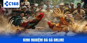 kinh-nghiem-da-ga-online