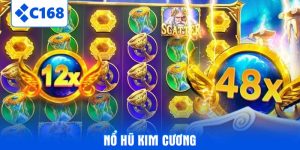 no-hu-kim-cuong