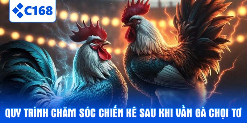 Quy trình chăm sóc chiến kê sau khi vần gà chọi tơ