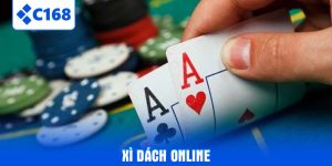 xi-dach-online